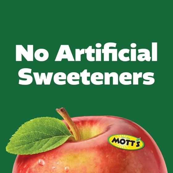 Mott’s 100% Juice Original Apple Juice, 1 Gal, Bottle