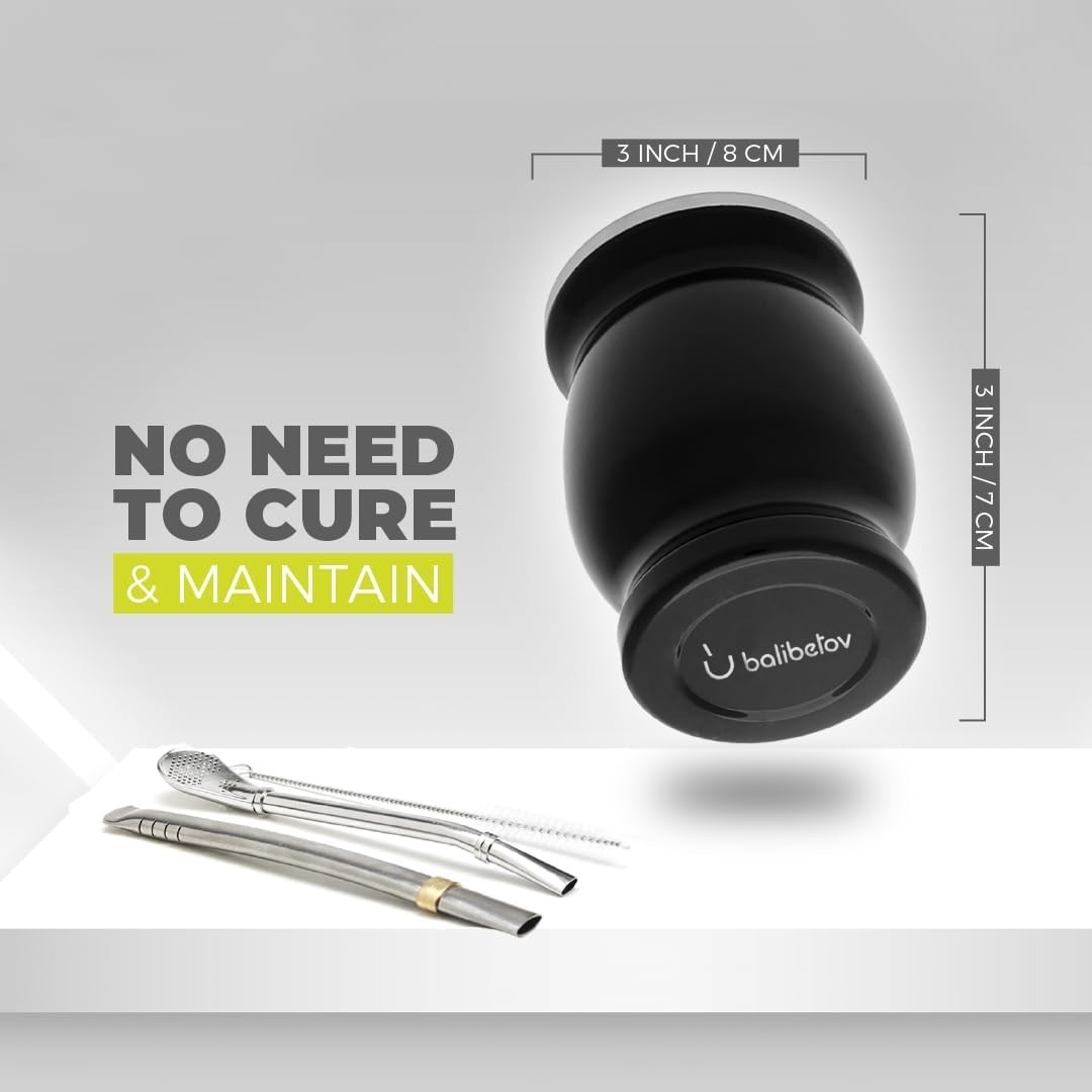 Modern Yerba Mate Experience: Stainless Steel Cup with 2 Bombillas – Gift Ready